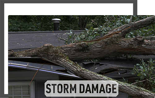 Bulldog Roofs Images