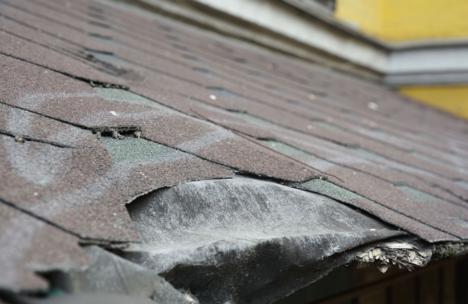 Bulldog Roofs Images