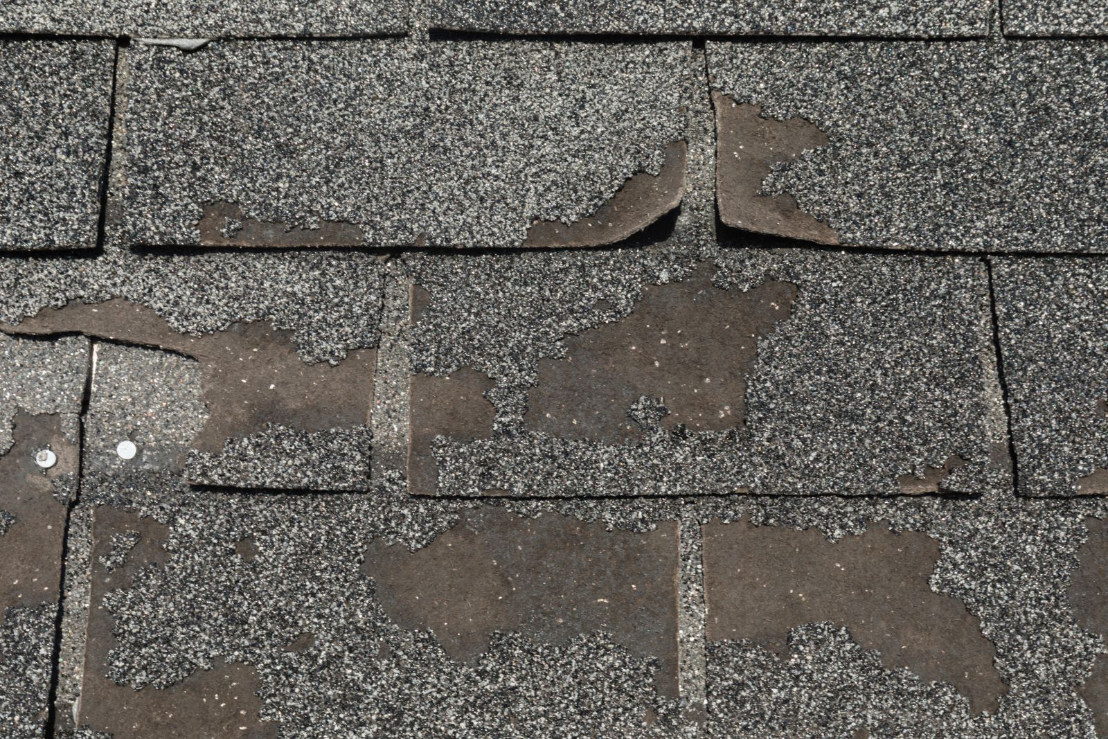 Bulldog Roofs Images