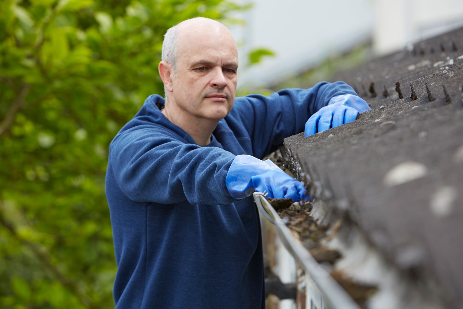 Bulldog Roofs Images